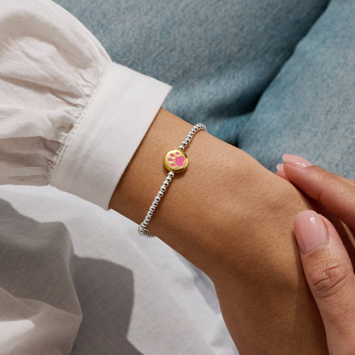 Joma Jewellery A Little Pawsitive Vibes Silver & Gold Plated Bracelet
