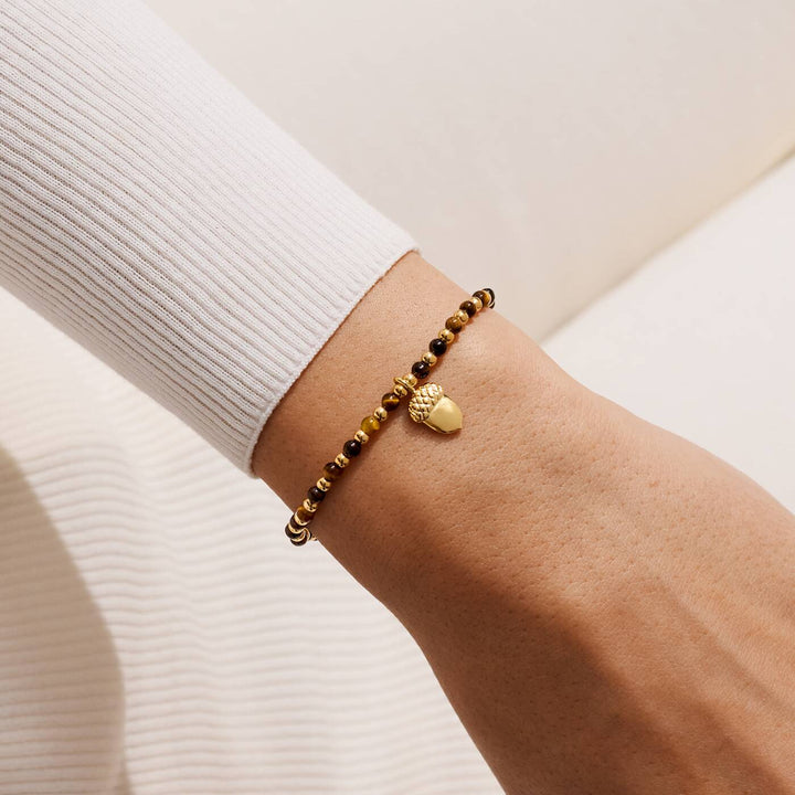 Joma Jewellery Autumn's Calling A Little Cosy Season Gold Plated Bracelet