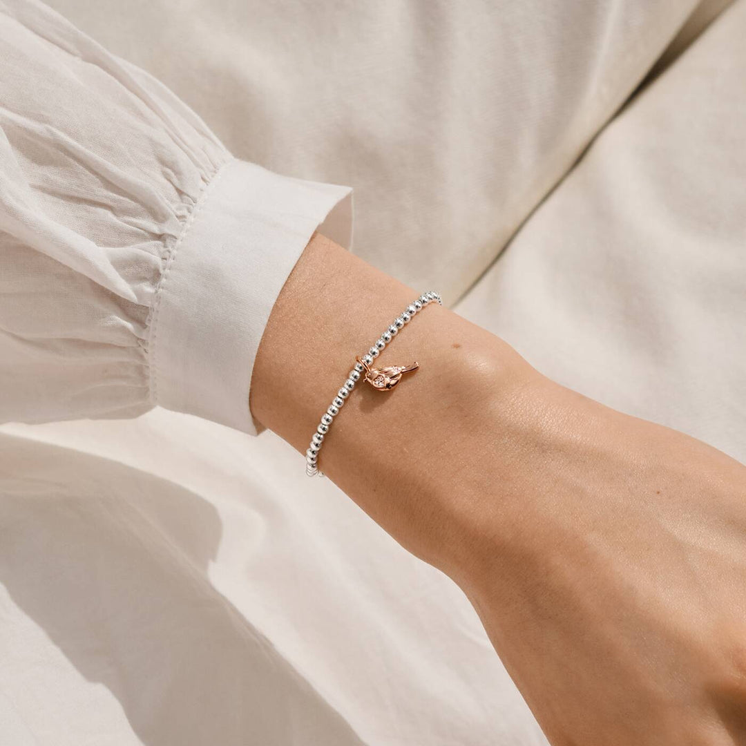 Joma Jewellery Christmas A Little Christmas Robin Silver & Rose Gold Plated Bracelet