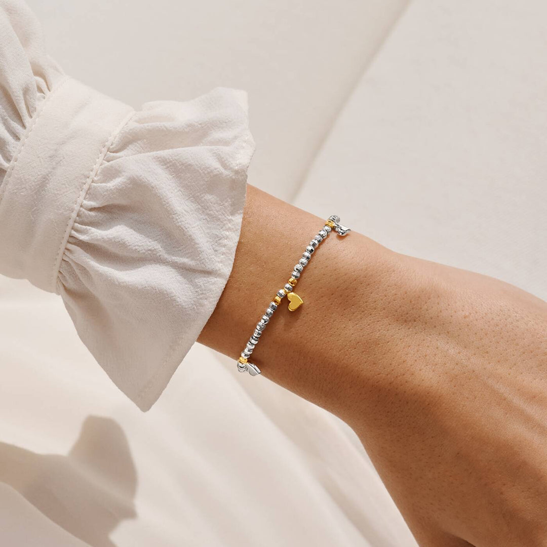 Joma Jewellery Sparkle Confetti A Little Amazing Auntie Silver & Gold Plated Bracelet
